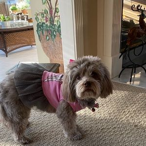 Meet your Posher, Jamie